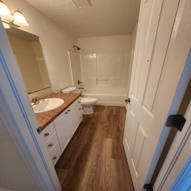Finished bathroom with new wood-look flooring after interior painting